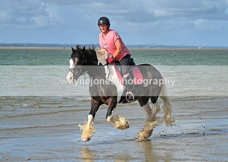 WJ7_4278_1 - Kellie & Churchill ... do Hayling Island 25-08-24
