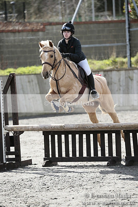BVRC SJ 170319 440 - Bourne Valley Riding Club Showjumping 17/03/19