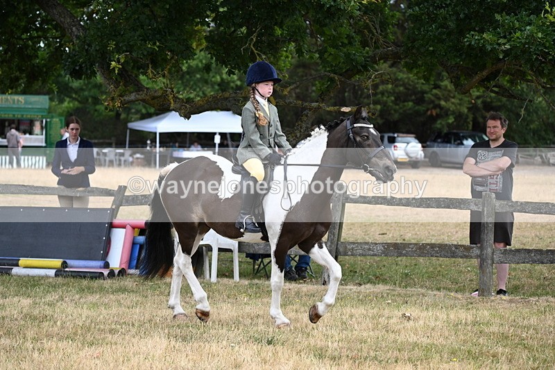 WJ6_3883 - Class 9 Tack & Turnout
