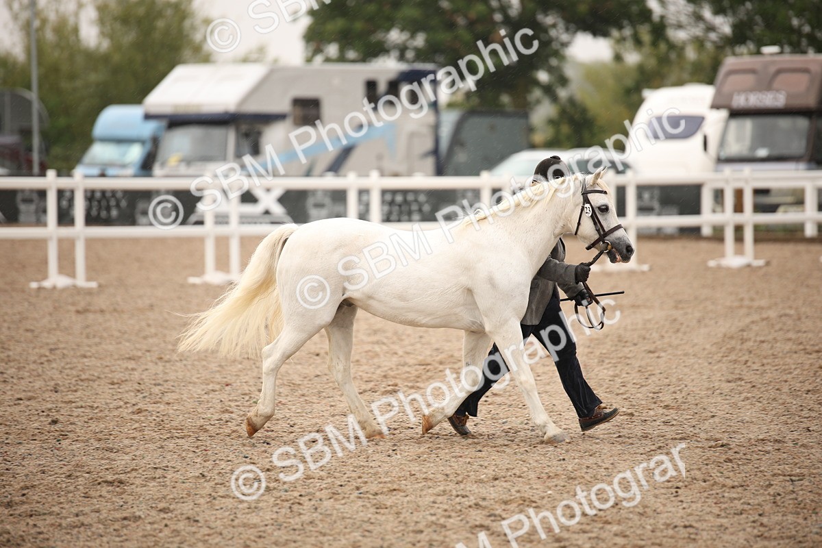 SBM_20702 - Class 705 - IH  Combination 65+