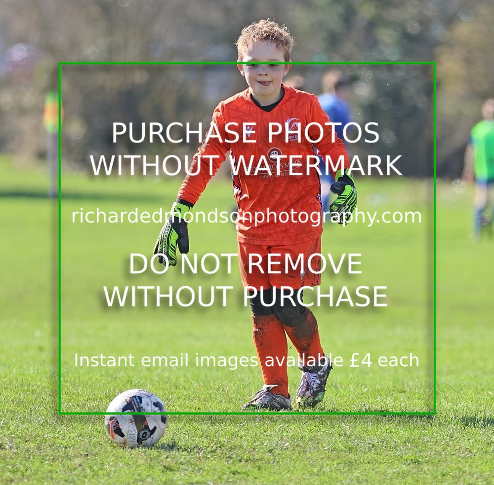 533A7868 - Ibis Under 8's (14/3/26)