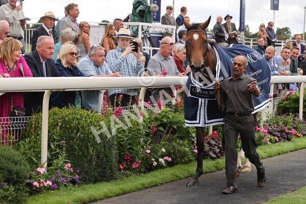 yr19082022r4-115 - Race 4 3.35pm Coolmore Wootton Bassett Nunthorpe Stakes (British Champion Series Race)