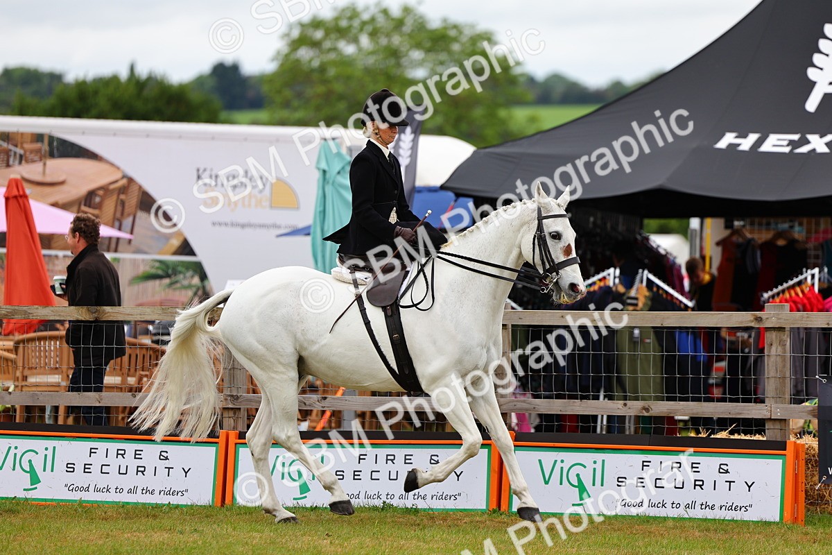 SBM_02719 - Class 9-11 Side Saddle including LIHS Rising Star Ladies Show Horse