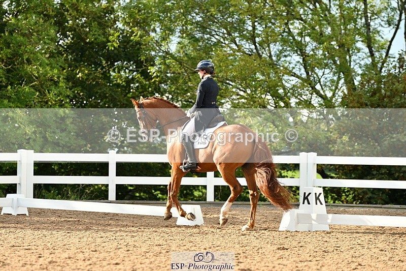 230912A-172245-01988 - Cls 23 FEI Grand Prix