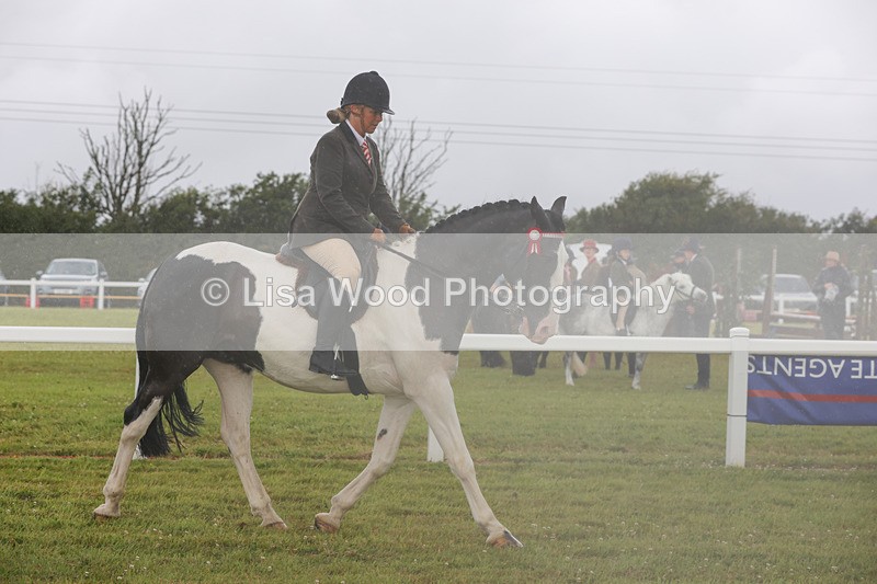 1X9A2982 - Class 26: Ridden Plaited Coloured Pony