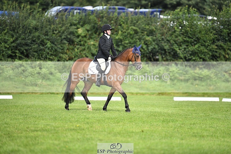 230826-103548-15523 - Sections C & D 10 to End