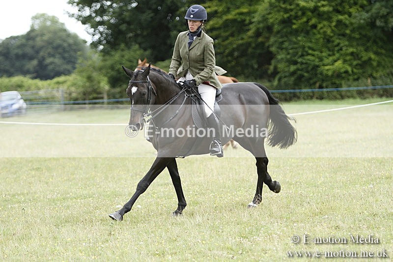 BVR160717-2194 - Ring 3 BVRC Show 16/07/17