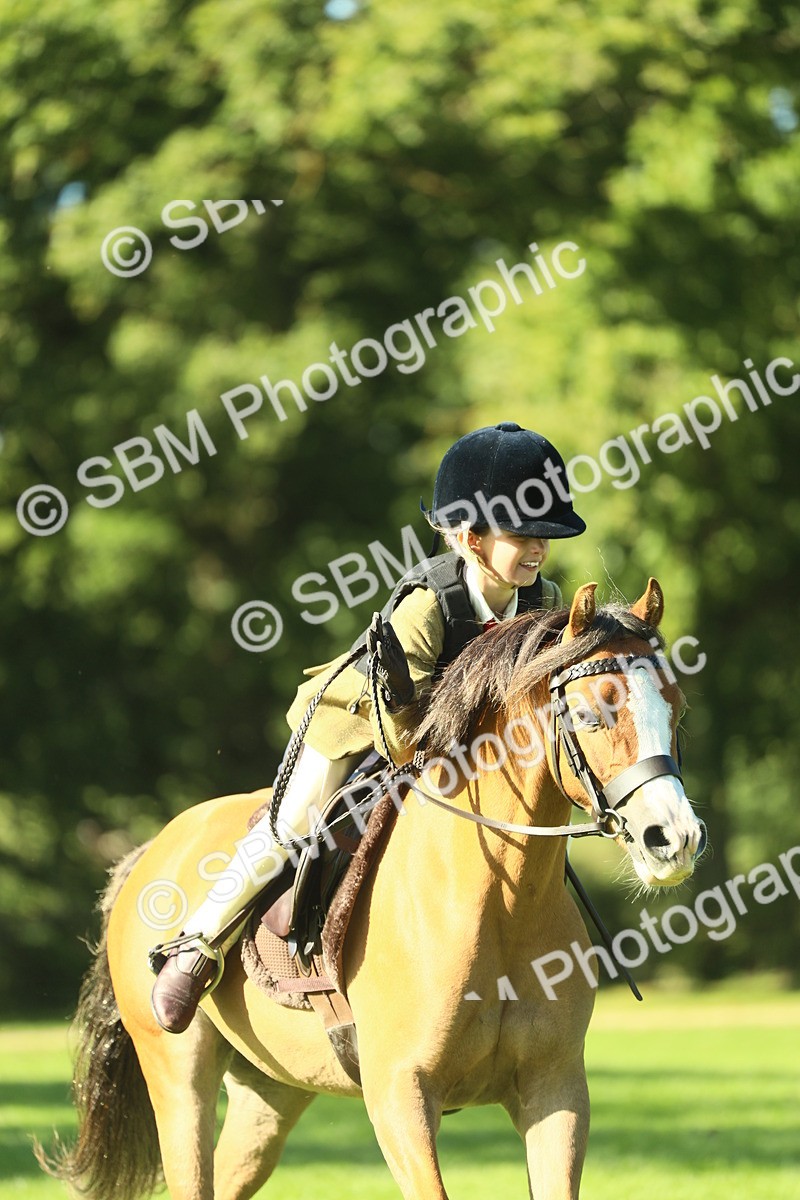 SBM_37432 - S29 - Novice & Newcomers Working Hunter Pony