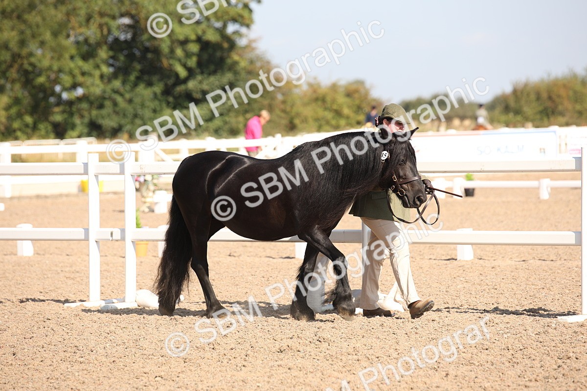 SBM_02660 - Class 16 IH M&M Wildcard