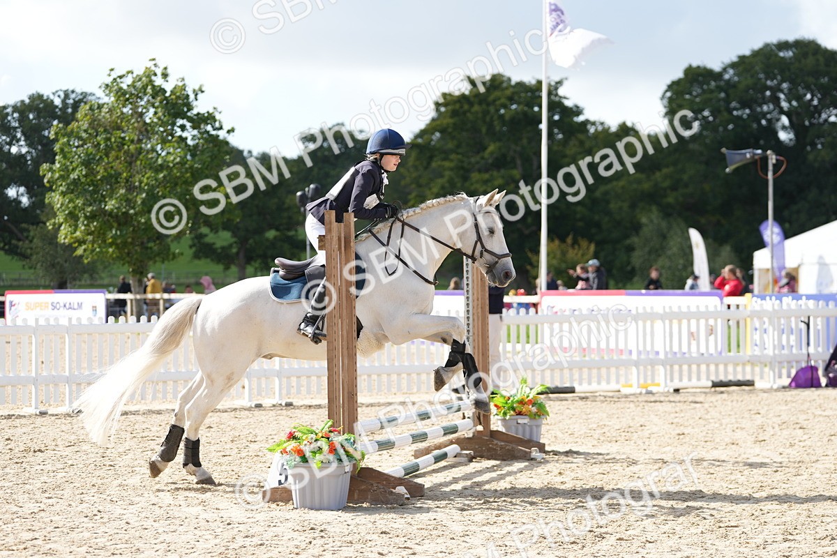 SBM_17717 - J58 - Clear Round 50cm
