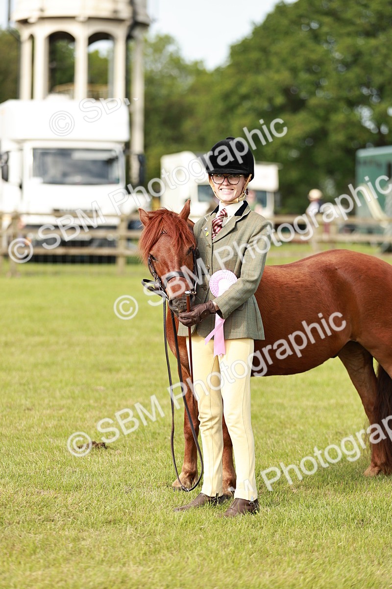 SBM_00567 - Class 14-23 - Mountain & Moorland In Hand Non Welsh