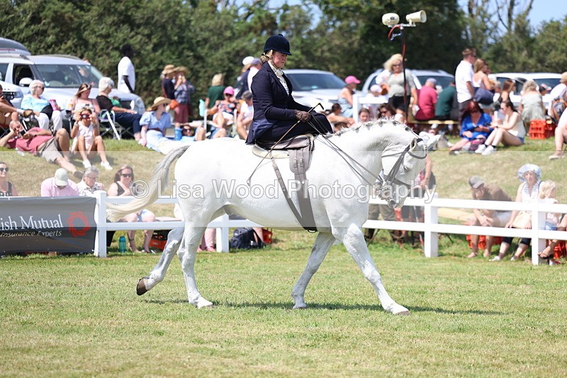 3E7A9764 - Class 13: Side Saddle
