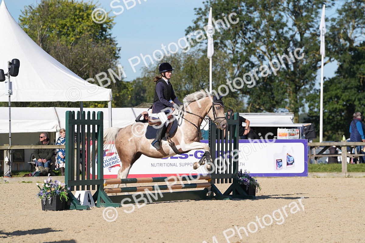 SBM_36122 - J 20 - Junior Horse 50cm Championship