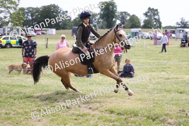 20260614-4047 - Class 24 - Mini and Major Pairs Jumping