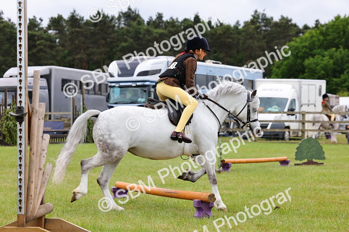 SBM_08704 - Class 42-43 - LIHS BSPS Heritage Working Sports Pony