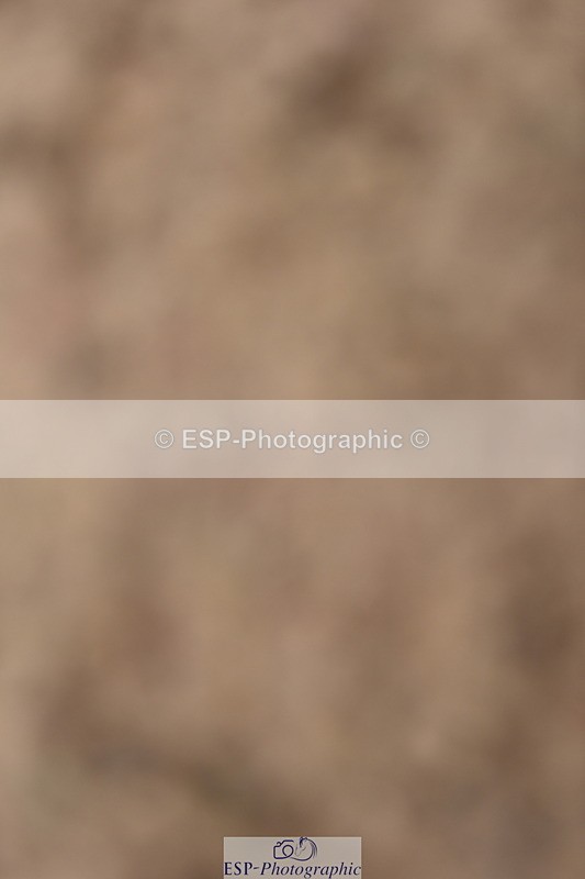 240528A-144016-00039 - 40 & 50cm