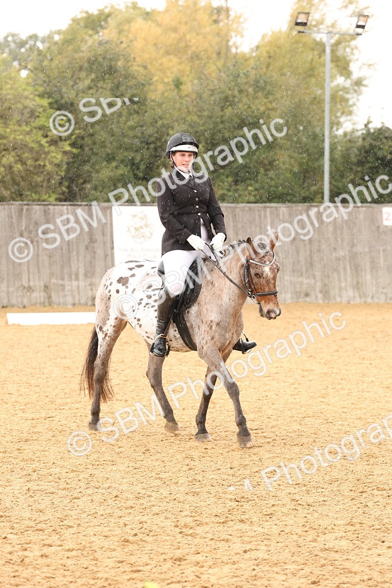 SBM_44128 - D6 - Small Tour Championship Intro 4