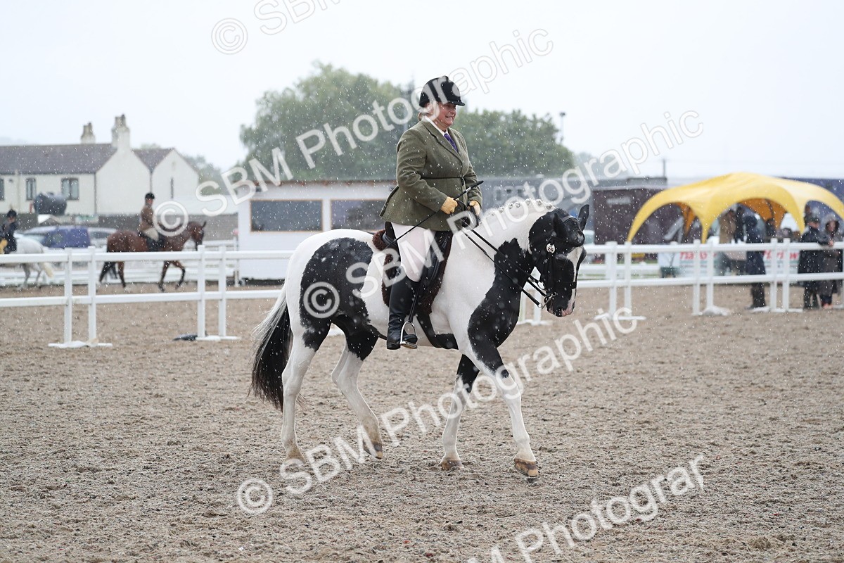 SBM_20490 - Class 601 - 2025 Area - Ridden Diamond