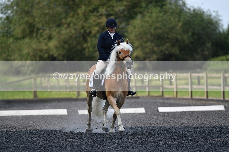 WJ5_9177 - Time 10:10 to 10:47