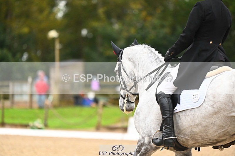 231021-122328-15125 - 348-KILMINGTON.FOLLY-Gubby.Leech-DR