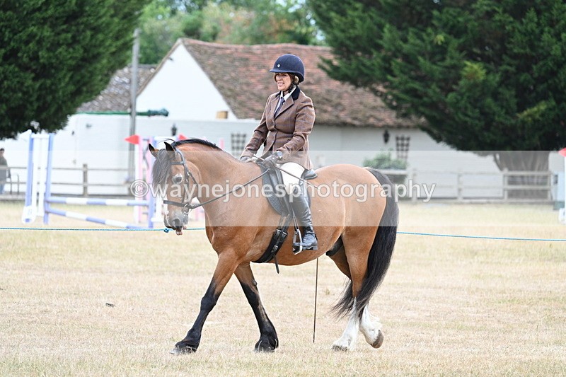 WJ7_0262 - Class 6 Ridden Mountain and Moorland