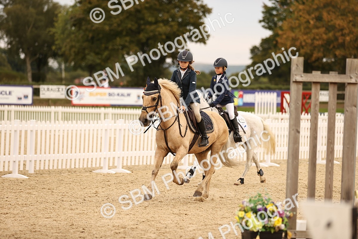 SBM_74510 - J14 - Junior Pony 65cm Championship