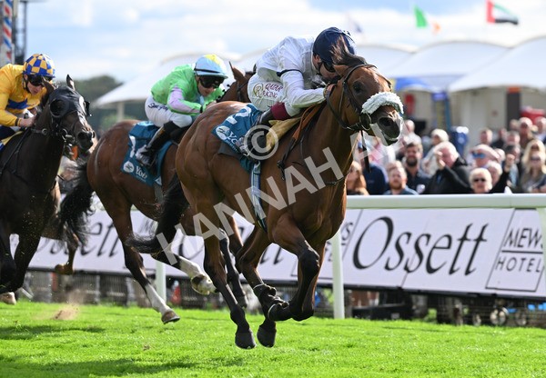 210825-210 Stellar Sunrise - Race 6 4.45pm Mews Hotel Ossett EBF Stallions Nursery Handicap