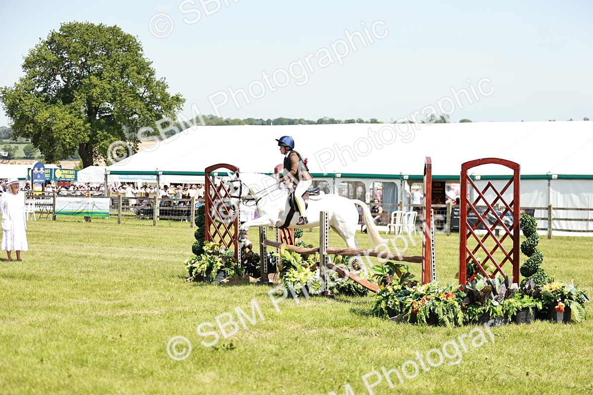 SBM_15491 - Class 108-109 - BSPS LIHS Open Gradle & Nursery Stakes