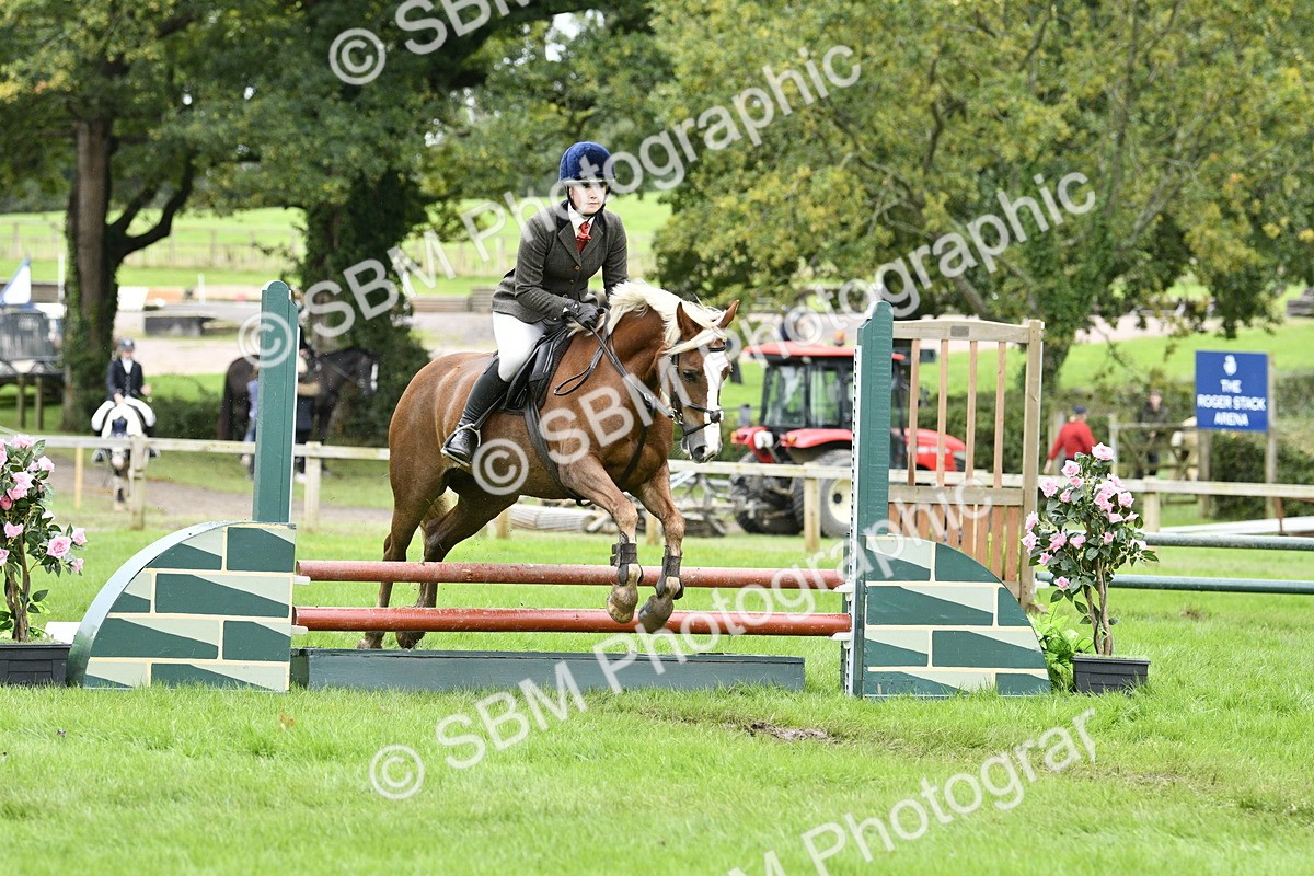 SBM_41379 - S32 - Mountain & Moorland Working Hunter Pony