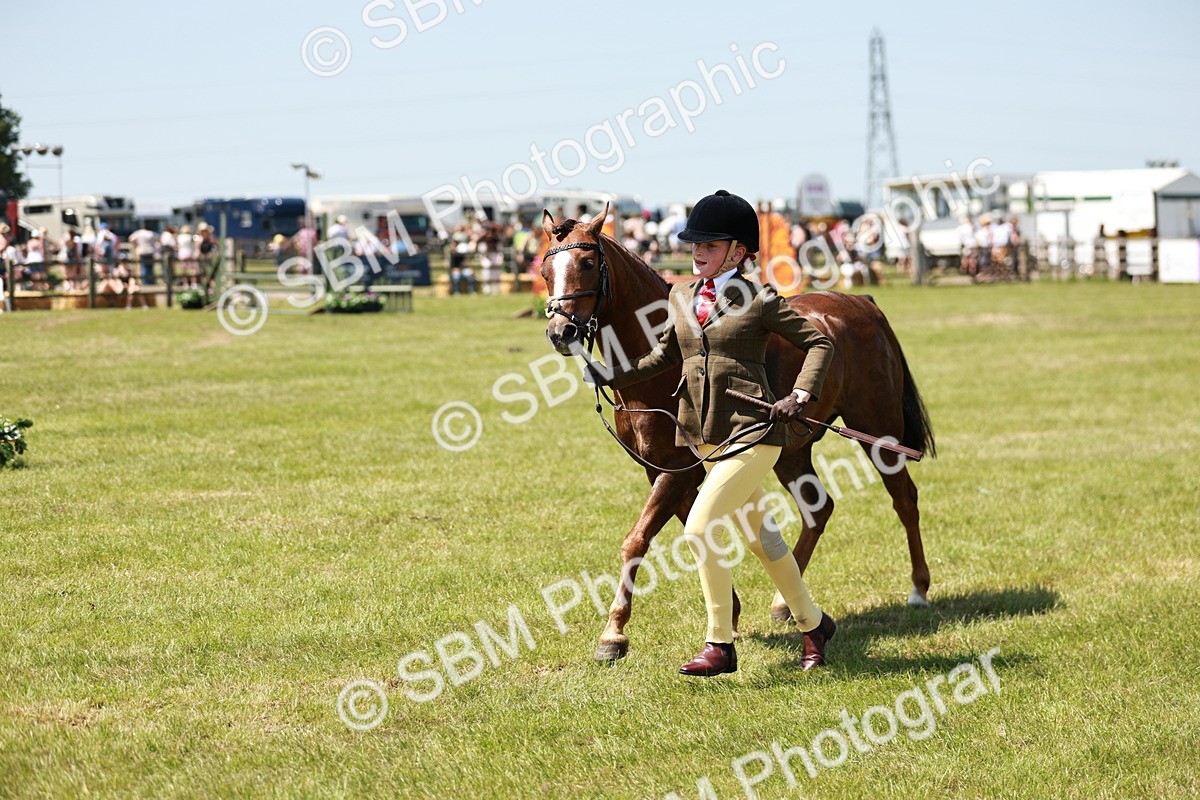SBM_15609 - Class 108-109 - BSPS LIHS Open Gradle & Nursery Stakes