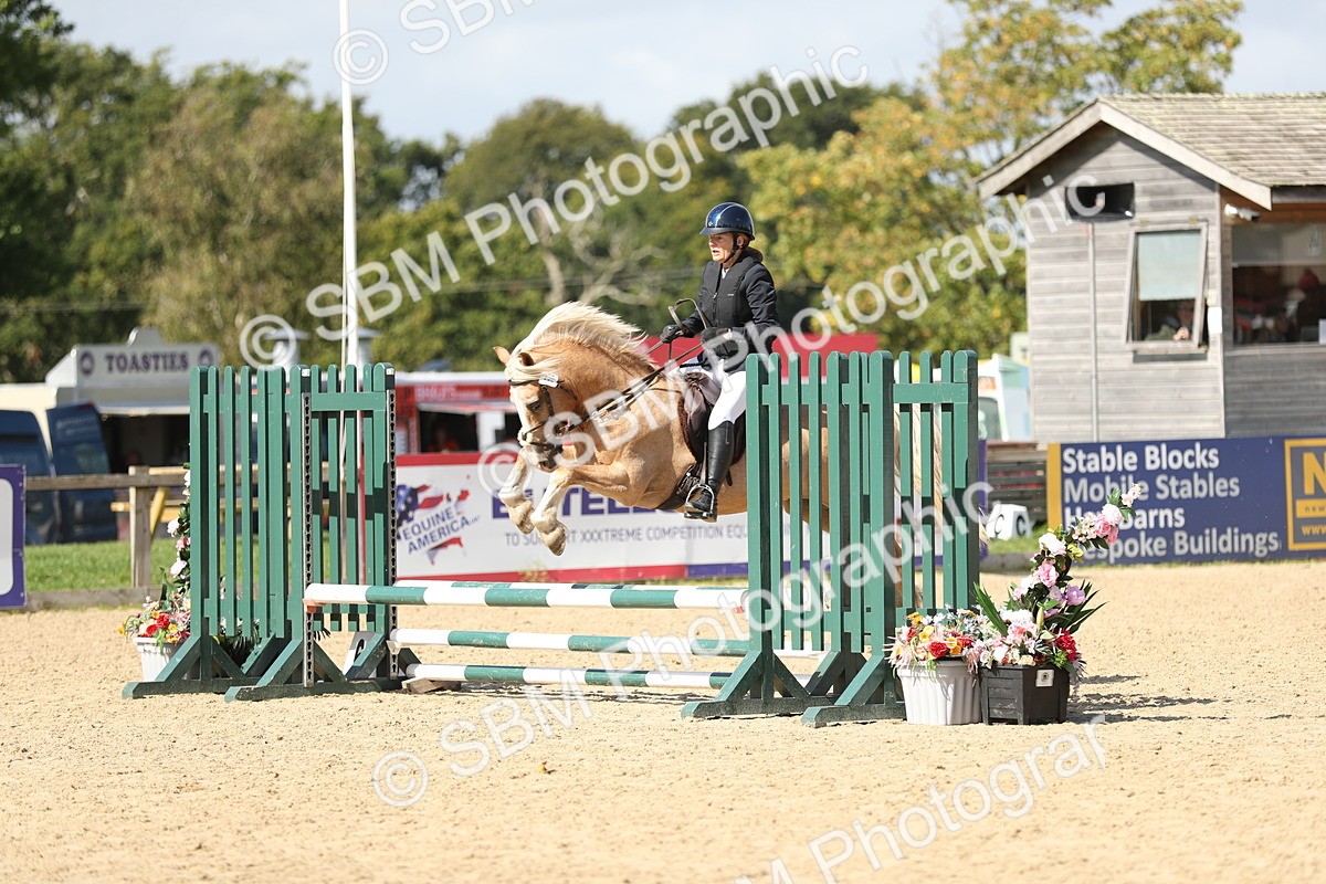 SBM_05602 - J35 - Veteran Rider 60cm