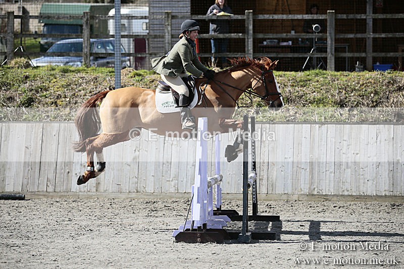 BVRC SJ 170319 391 - Bourne Valley Riding Club Showjumping 17/03/19