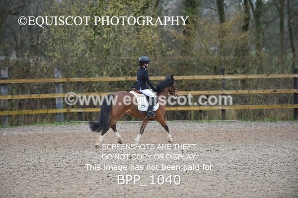 BPP_1040 - CLASS 1 Club/ Unaffiliated 60cms Open