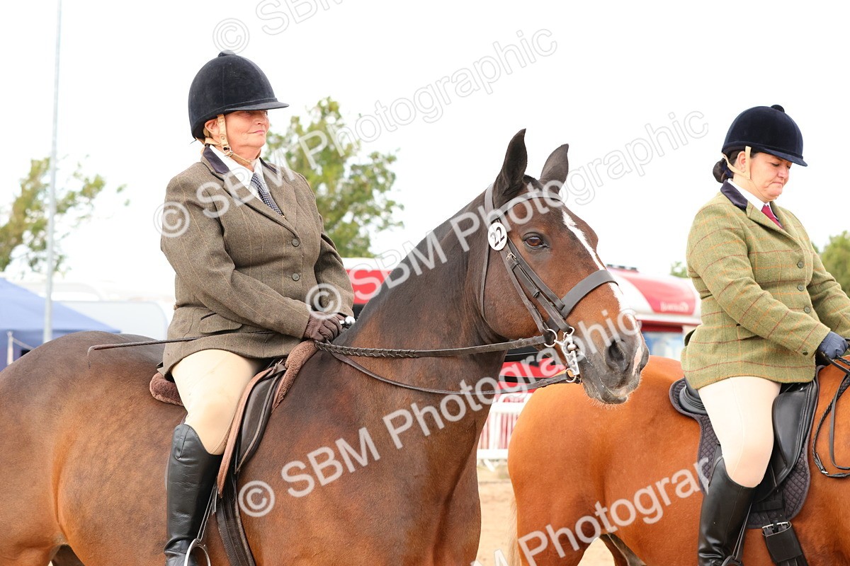 SBM_15528 - Class 214 - Ridden Show Cob