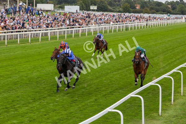 230823-Race 4-Mostahdaf-4284 - Race 4 3.35pm Juddmonte International Stakes
