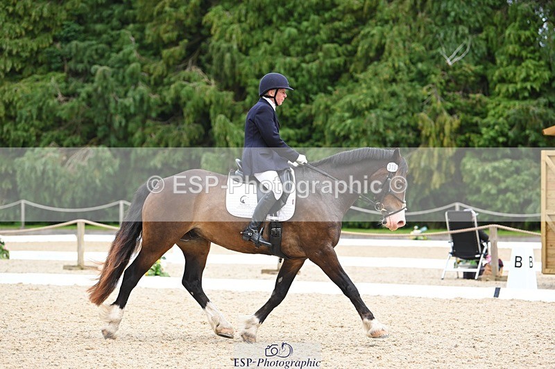 230813-140456-07673 - Cls 13 Medium Bronze 13.15 to End