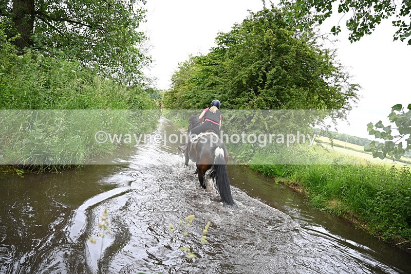 WJ7_2088 - Camera 2 Water Crossing