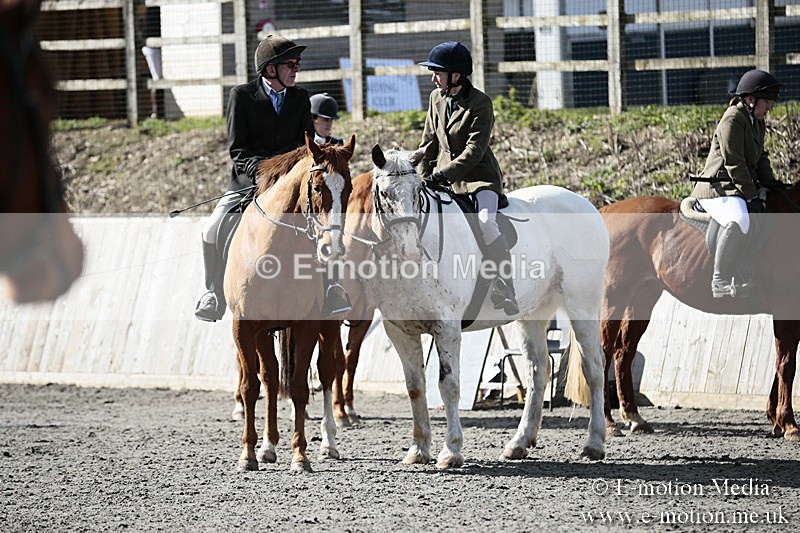 BVRC SJ 170319 160 - Bourne Valley Riding Club Showjumping 17/03/19