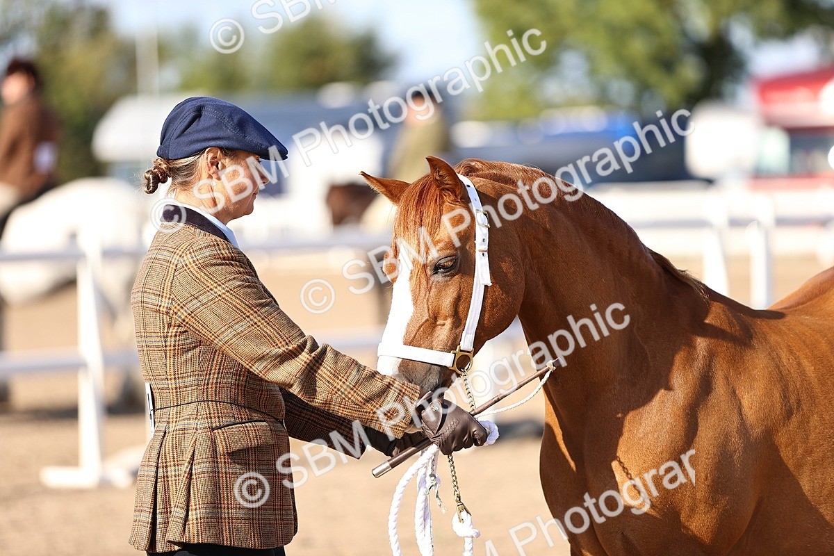 SBM_08501 - Class 402 - IH Veteran Pony