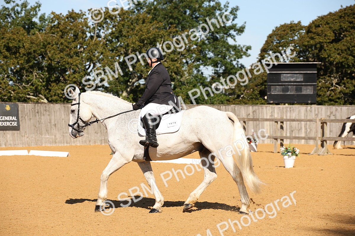 SBM_18440 - D31 - Grand Tour - PYO Open