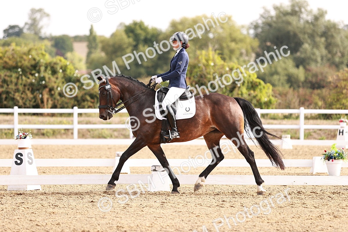 SBM_016948 - Class 10 - Medium 6