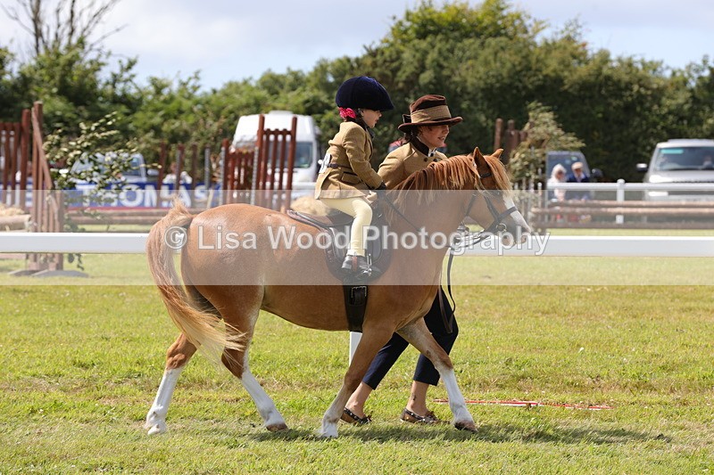 1X9A5060 - Class 36: NPS M&M Lead Rein