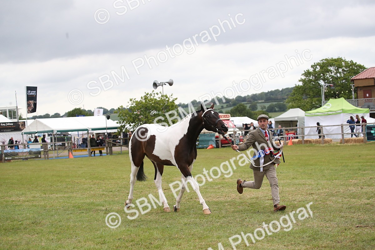 SBM_09917 - Ch 50 - Price Family Supreme In Hand