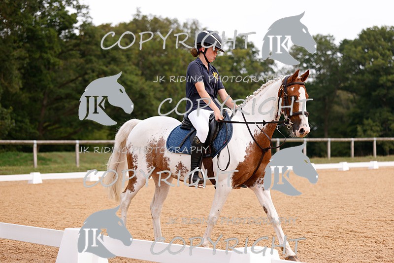 _R6A2615 - Dressage Morning