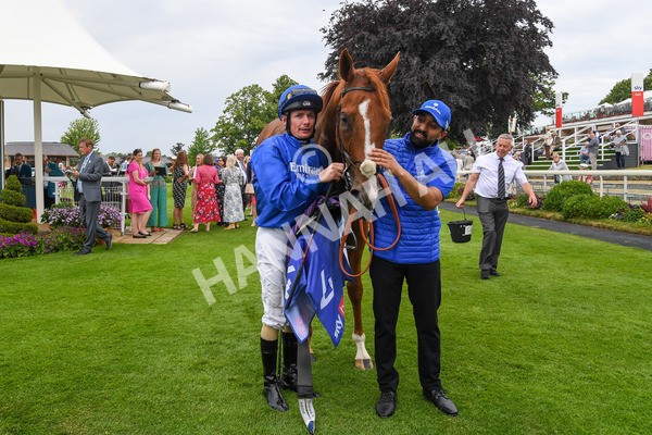 170623-Race 2-Wild Lion-0268 - Race 2 2.35pm Sky Bet Handicap