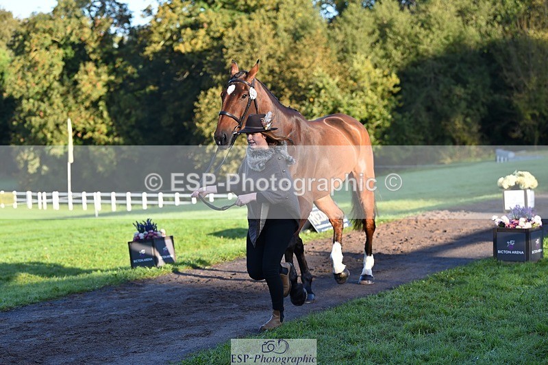 231022-090342-21535 - 627-UNNAMED.(815881)-Pollyanne.Adams-TrotUp+SJ