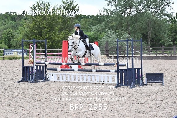BPP_2955 - CLASS 7 Pony Discovery / 90cm Open