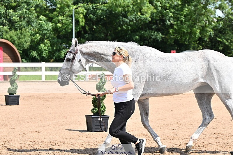 240718A-105240-01001 - Trot Up 11am to 12pm