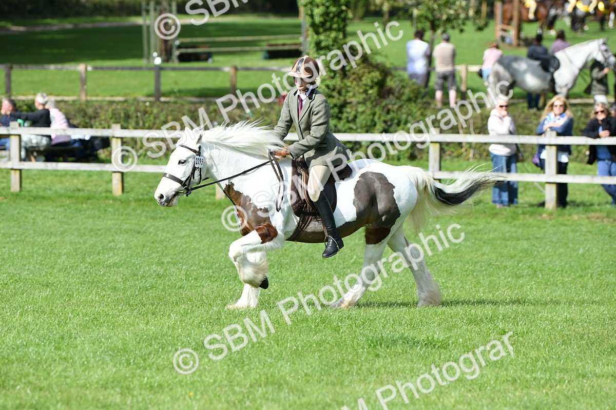 SBM_47020 - S12 - Family Horse & Pony