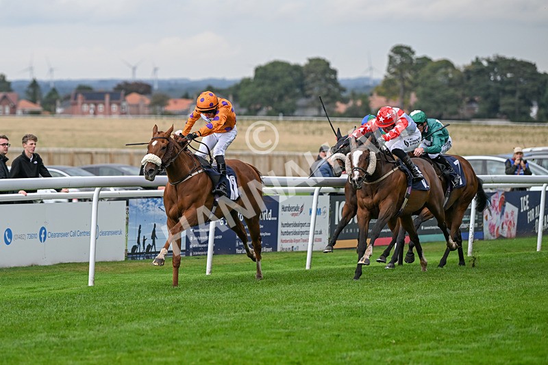 240924-Race 5-Ifonlytheycudtalk-6473 - Race 5